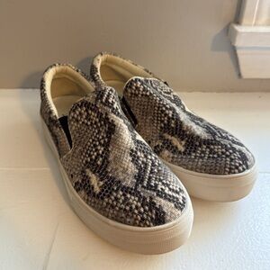 Steve Madden Snake Print Slip-On Sneakers